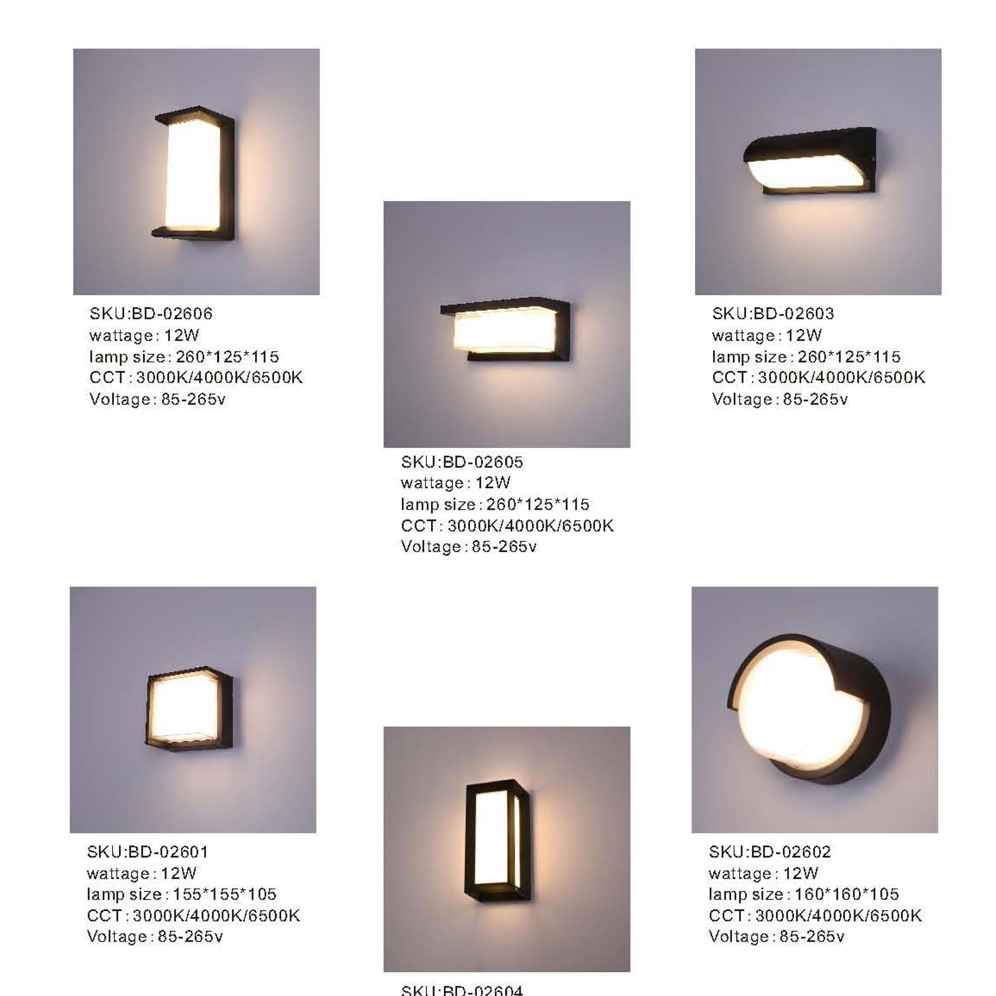 Ultra bright induction outdoor LED wall lamp